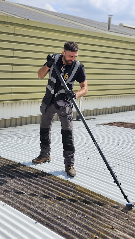 Top Reasons to Get Your Gutters Cleaned at the Beginning of Summer