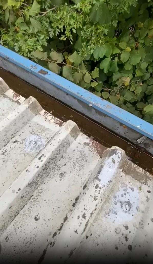 How Regular Gutter Cleaning Saves Birmingham Homeowners Money?